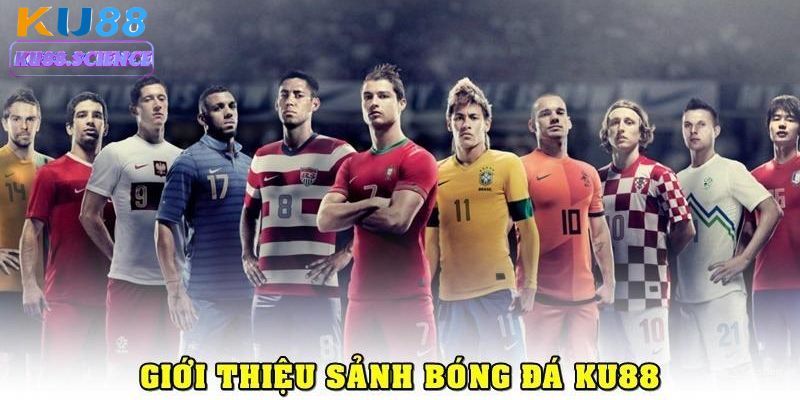 Sảnh thể thao Ku88 cung cấp đa dạng môn thể thao cho hội viên