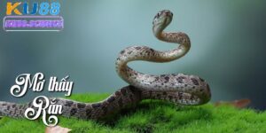 Mơ thấy rắn cắn